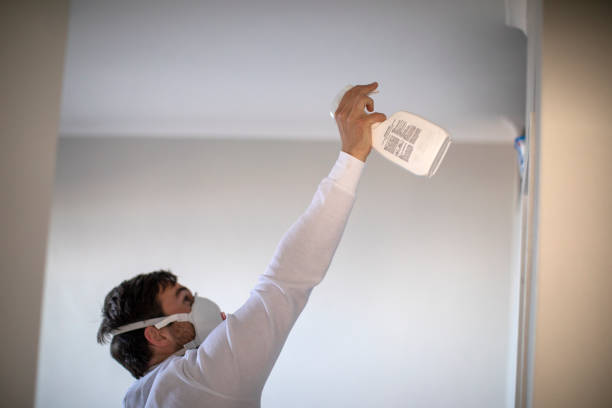 Best Emergency Mold Removal  in Walthourville, GA