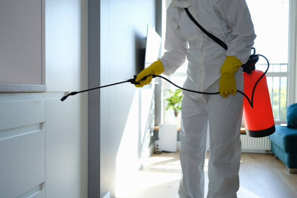 Best Office Mold Removal Services  in Walthourville, GA