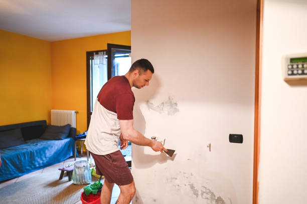 Best Toxic Mold Removal  in Walthourville, GA