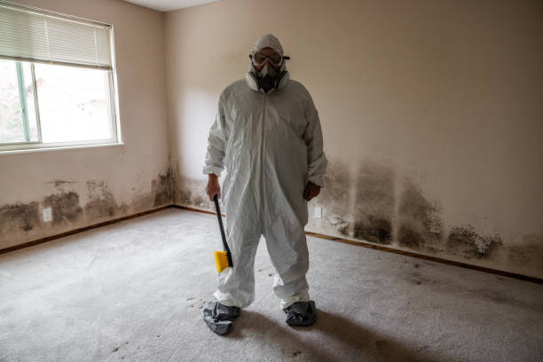 Best Certified Mold Removal  in Walthourville, GA