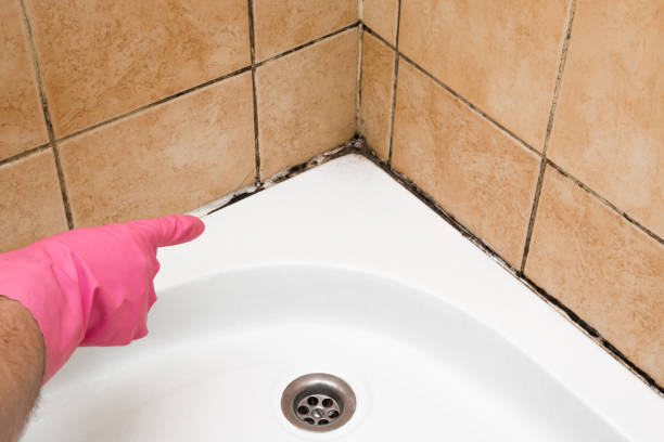 Best Residential Mold Removal  in Walthourville, GA